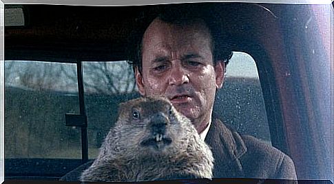 Groundhog Day