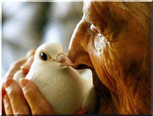 Old Man with Bird