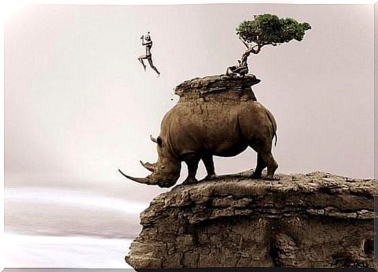 Man Jumping From A Rhino Standing On A High Mountain Because He Suffers From Chronic Sleep Deprivation