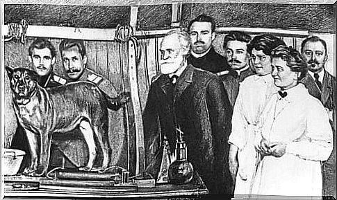 Experiment of Ivan Pavlov