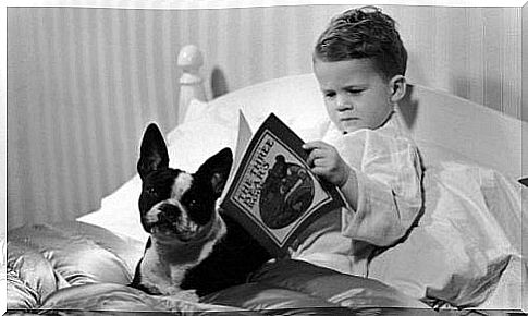 Boy reads book in bed with dog