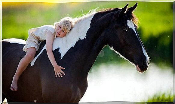 Horse therapy child on a horse