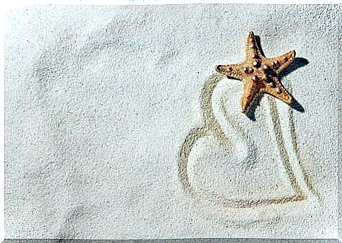 Starfish and a heart in the sand