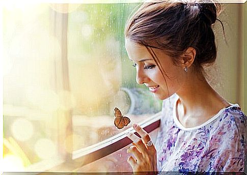 Butterfly at Window