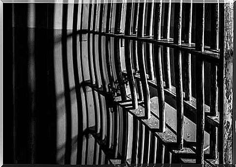 The bars of a prison cell